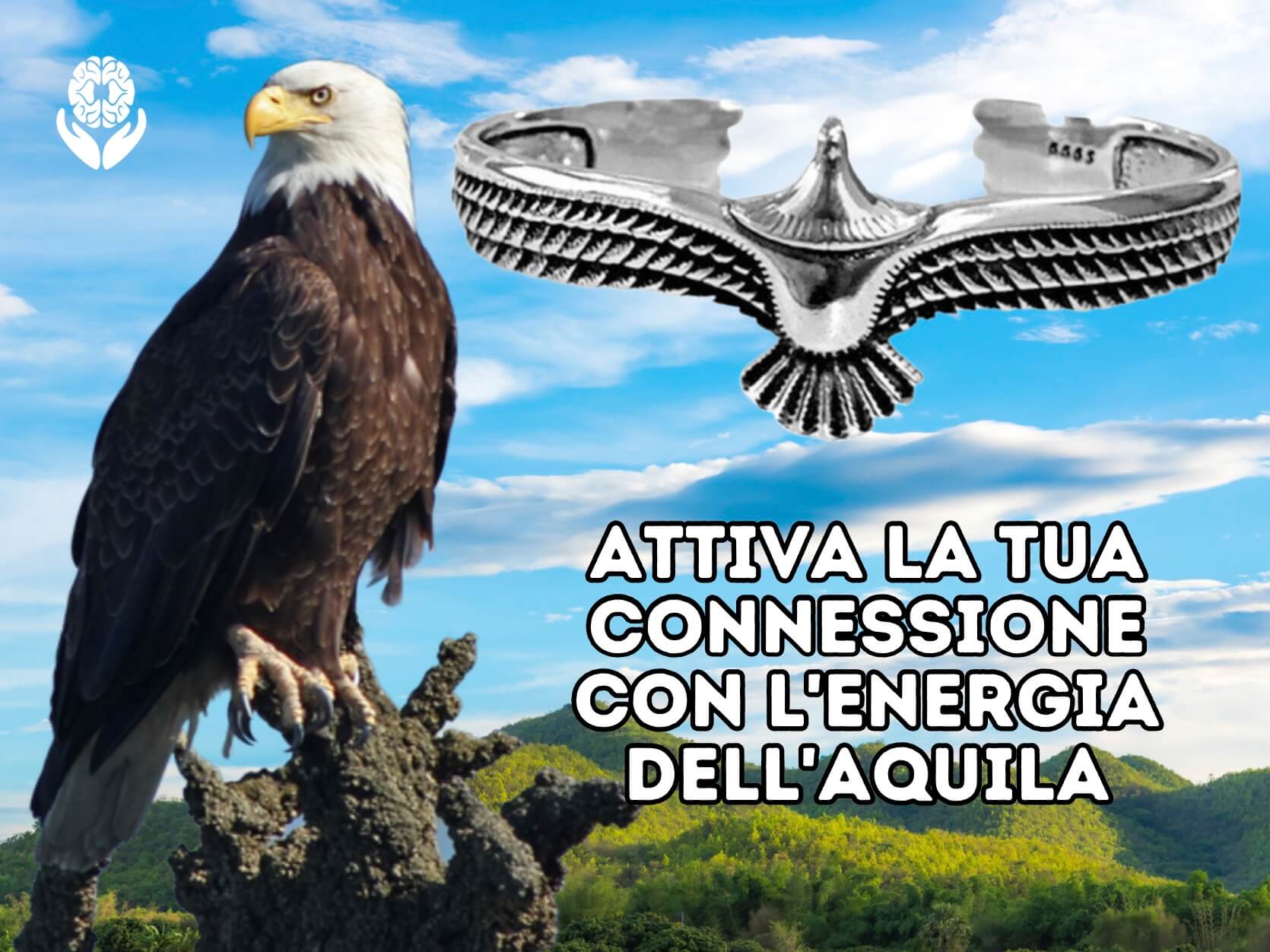 Bracciale Aquila - A51 Benessere Shop