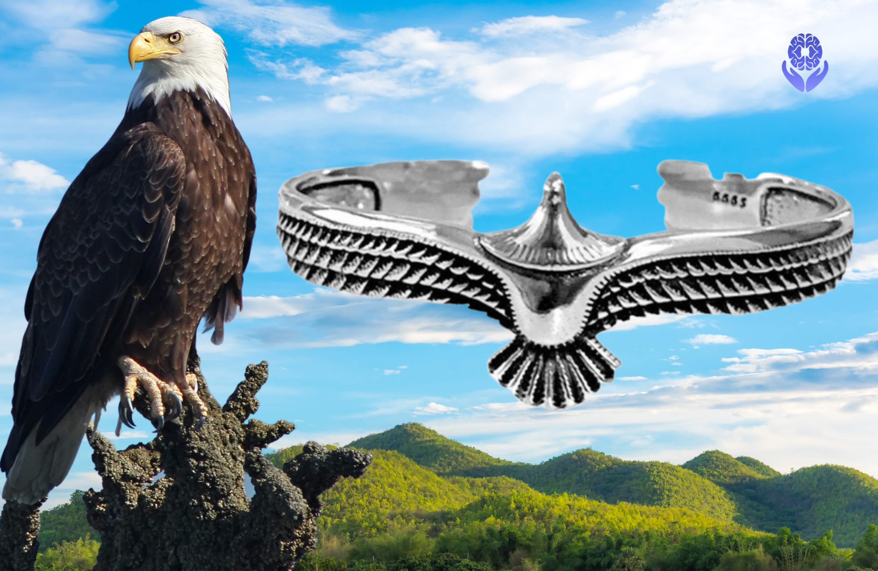 Bracciale Aquila - A51 Benessere Shop