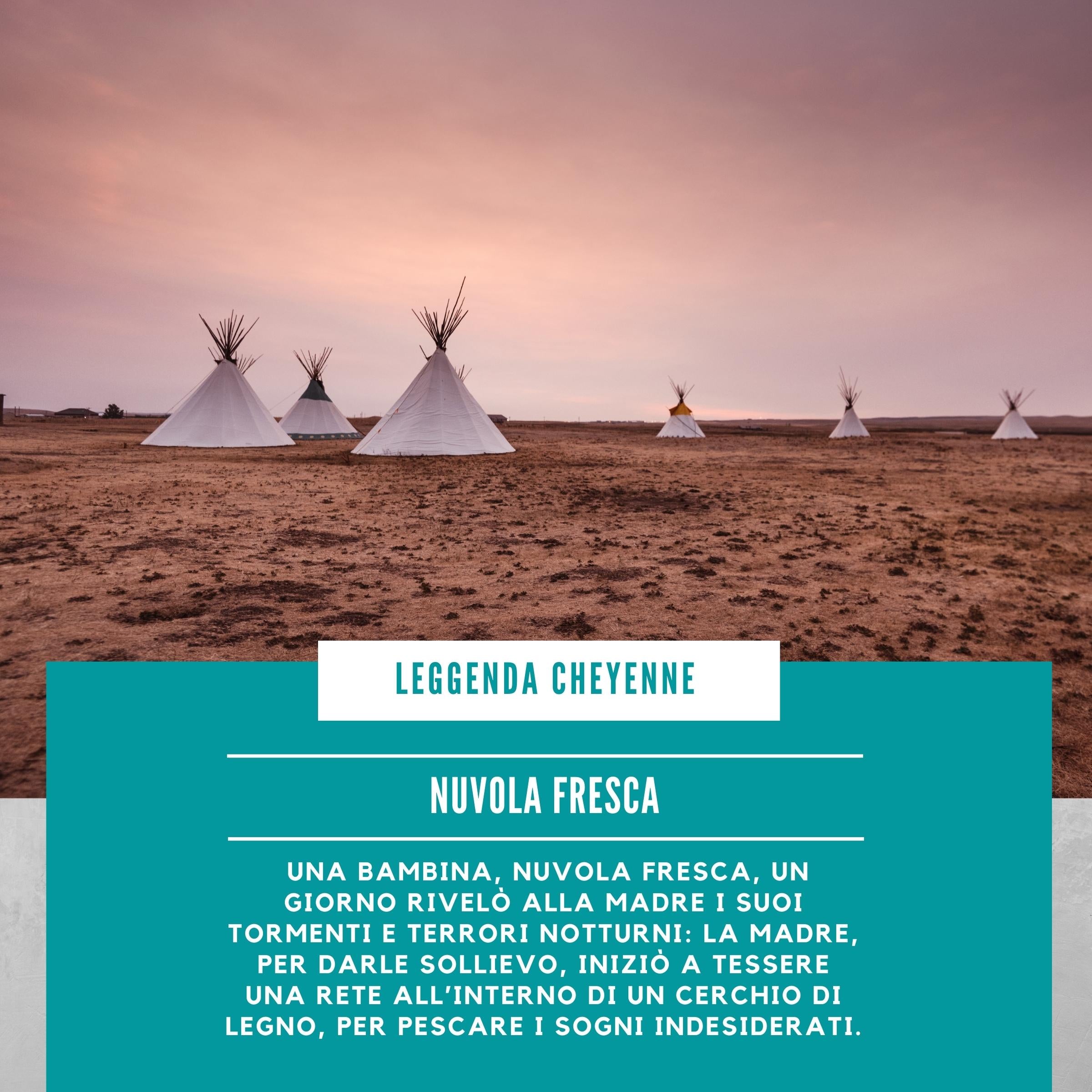 Acchiappasogni tradizionale degli Indiani d'America - A51 Benessere Shop