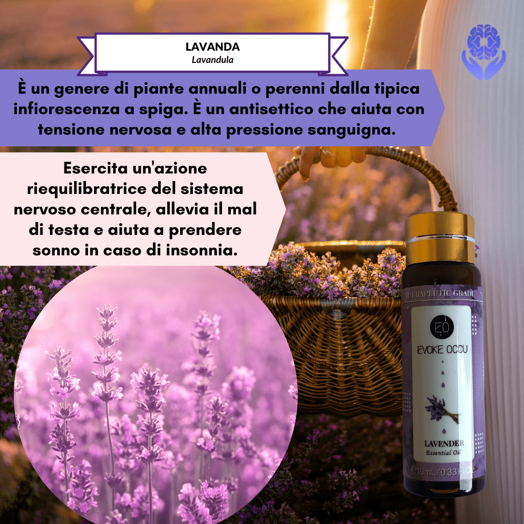 Kit 8 oli essenziali Healing Emotions - A51 Benessere Shop