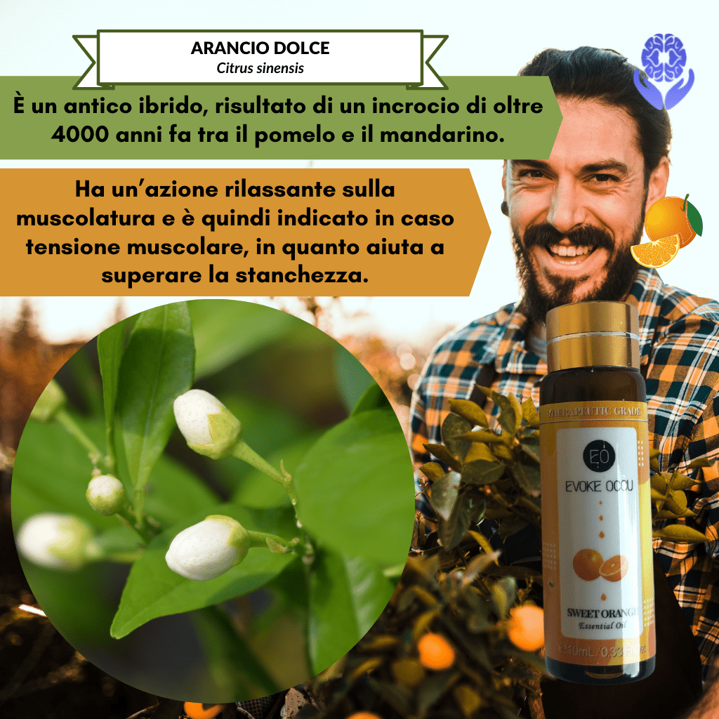 Kit 8 oli essenziali Healing Emotions - A51 Benessere Shop