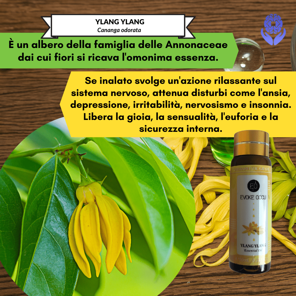 Kit 8 oli essenziali Healing Emotions - A51 Benessere Shop