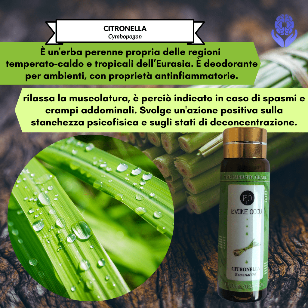 Kit 8 oli essenziali Healing Emotions - A51 Benessere Shop